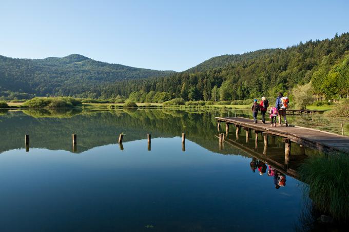 Podpeško jezero, znano tudi kot Krimsko jezero ali kot Jezero pod sv. Ano | Foto: Jošt Gantar (www.slovenia.info)