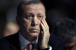 Turški predsednik: Hitlerjeva Nemčija je dober primer predsedniškega sistema