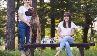 Slovenska rešitev za bolj zdravo in srečno življenje psov in mačk