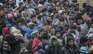 V Slovenijo do danes vstopilo več kot 50 tisoč migrantov in beguncev