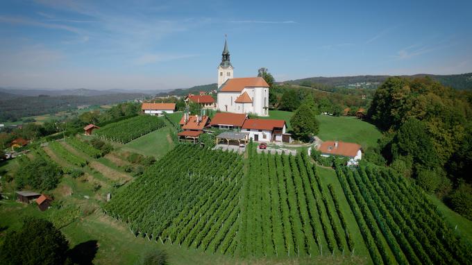 Trška gora slovi po vinogradih in zidanicah. | Foto: 