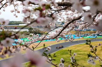 Red Bull na Japonskem kot cvetoče češnje