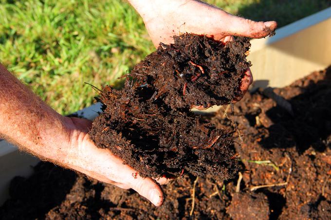 V kompost lahko zlivate kavno usedlino, a ne pretiravajte, da ne zakisate tal. | Foto: Thinkstock