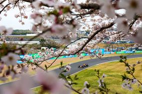 Red Bull na Japonskem kot cvetoče češnje