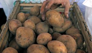 Na Hrvaškem primanjkuje krompirja, police v trgovinah prazne