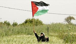 Izraelska vojska znova vdrla na območje Gaze