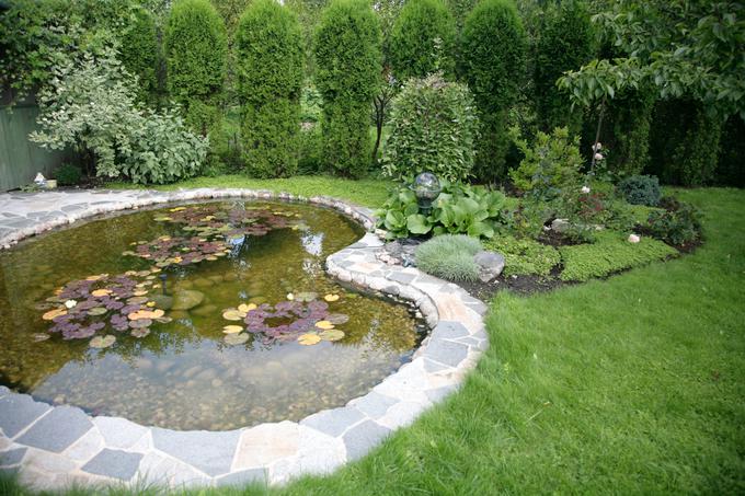 vrt, ribnik | Foto: Thinkstock