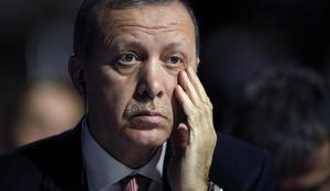 Turški predsednik: Hitlerjeva Nemčija je dober primer predsedniškega sistema