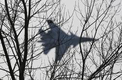 Pentagon: Ruska letala ogrožajo evropsko nebo