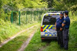 Vlada bi pomožne policiste za varovanje meje vpoklicala za daljše obdobje