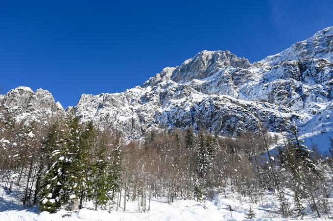 Idilični zimski pogled od koče Zacchi na Visoko Ponco | Foto: Matej Podgoršek