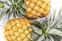 Ananas, najbolj moden sadež ta hip