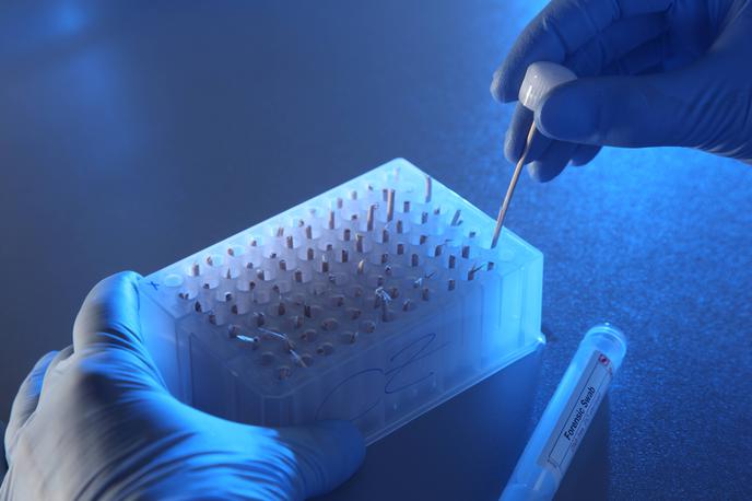 Jemanje vzorca DNK | Država je društvu zagotovila sredstva za izvajanje DNK-testov.  | Foto Guliverimage
