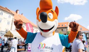 Maribor v pričakovanju olimpijskega festivala evropske mladine