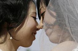 Na Švedskem dovoljene poroke istospolnih partnerjev
