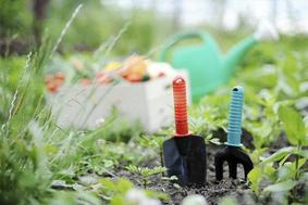 Vrtnarski triki, ki vam jih ne bodo zaupali v vrtnarskem centru