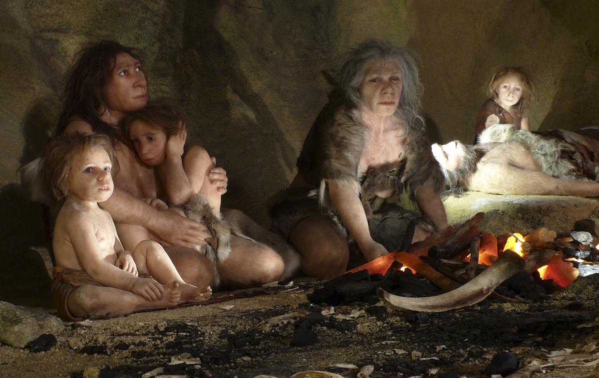 Neandertalci v muzeju v Krapini | Do izumrtja naših prednikov je po ugotovitvah genetikov prišlo v obdobju, še preden je prišlo do odcepitve skupne veje neandertalcev in denisovancev od sodobnega človeka. Ta odcepitev se je zgodila pred okoli 600 tisoč leti v Afriki. Na fotografiji: rekonstrukcija neandertalcev. | Foto Reuters
