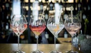V vinoteko eVino po vrhunska vina, vinske kozarce svetovno priznane znamke Riedel in najboljše sestavine za osvežilne gin tonike