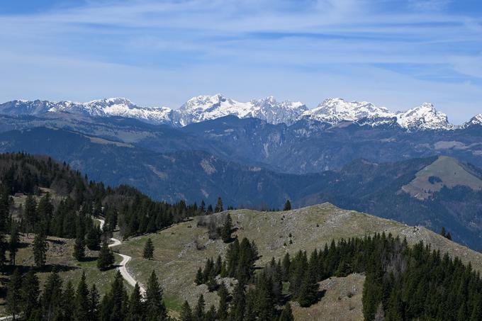 Pogled s Špica v smeri najvišjih vrhov Kamniško-Savinjskih Alp. Sprehodite se še do roba planine (gol greben na sredini fotografije). | Foto: Matej Podgoršek