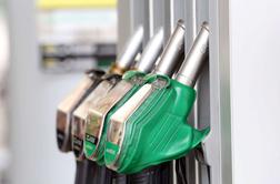 Vlada nasprotuje zadržanju izvrševanja uredbe o oblikovanju cen goriv