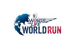 10 dejstev ki jih morate vedeti o teku Wings for Life World Run