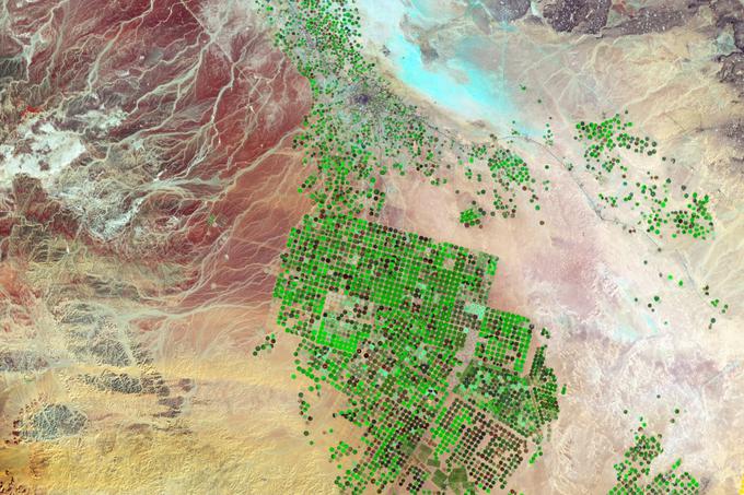Ameriška vesoljska agencija Nasa je tole satelitsko fotografijo malce obdelala, da bi bolje poudarila kontrast med zelenimi polji in arabsko puščavo. | Foto: NASA