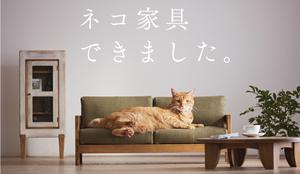 Nova spletna obsesija: mini pohištvo za mačke #video