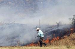 Slovenija bo pomagala gasiti gozdne požare v Albaniji