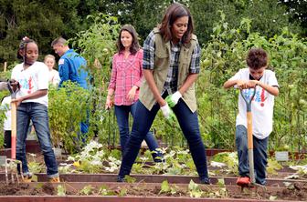 Michelle Obama se boji, da bo Melania Trump uničila njen vrt #foto