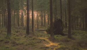 V ZDA sedemdesetletnik cel teden izgubljen taval po gozdu