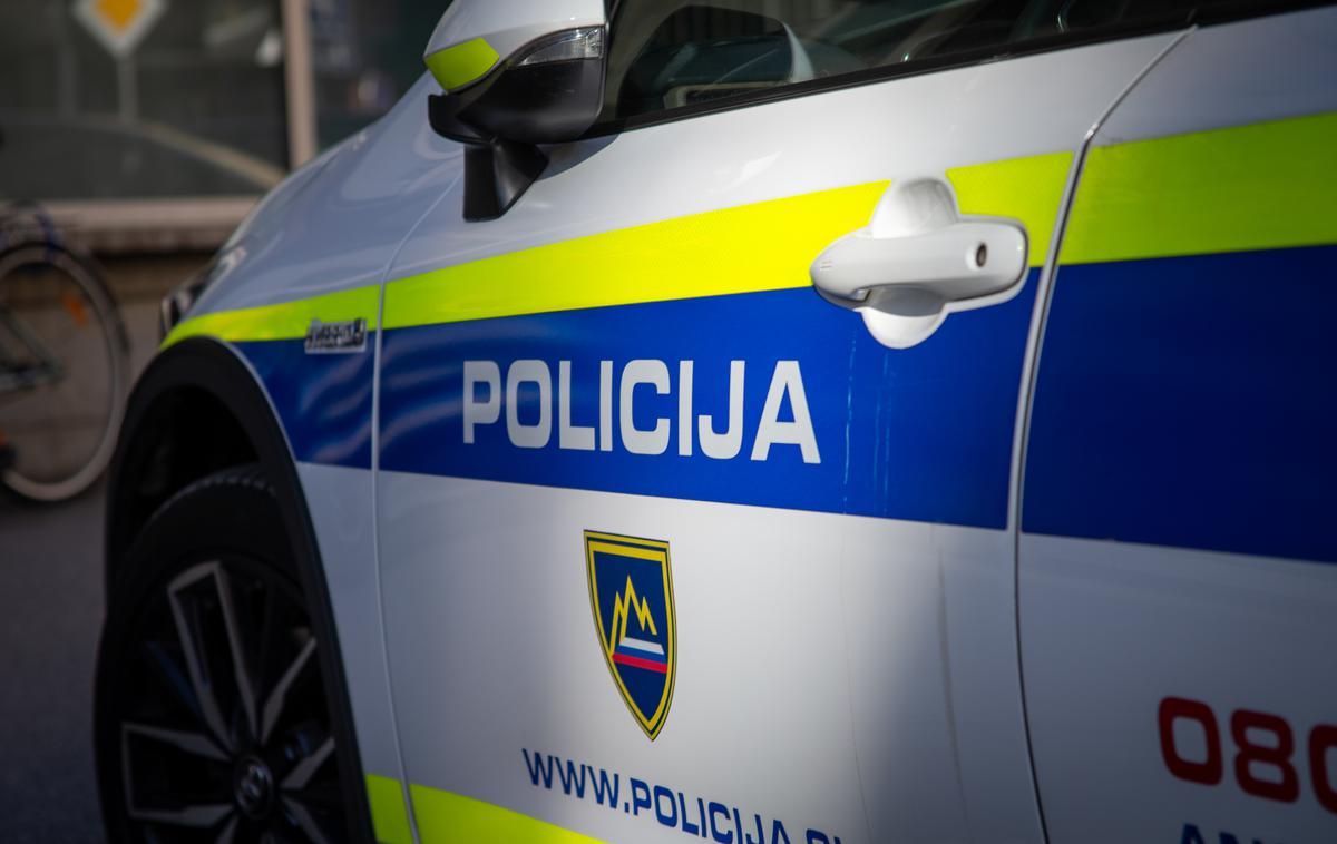 Slovenska policija | Vozniku so odvzeli prostost, postopki in aktivnosti v povezavi s tujci pa še potekajo. | Foto Mija Debevec Doničar