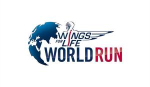10 dejstev ki jih morate vedeti o teku Wings for Life World Run